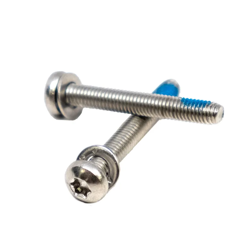 Handmade Paul Components 40mm Stainless Mounting Bolts T-25 (Pair)  | Bikeparts.Com
