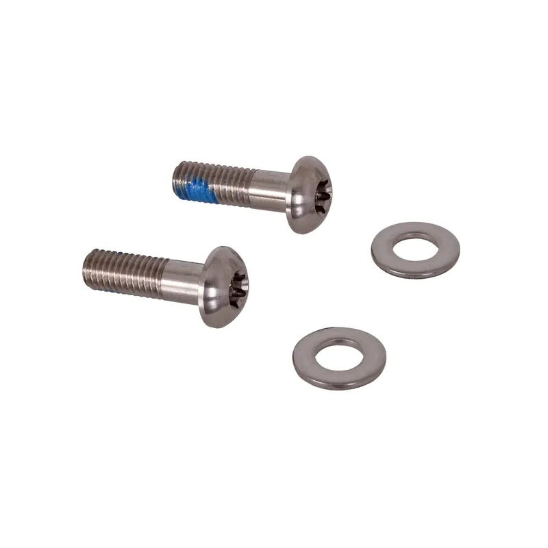 Grab Now SRAM Flat Mount Bolts 17mm Stainless T25 Pair  | Bikeparts.Com
