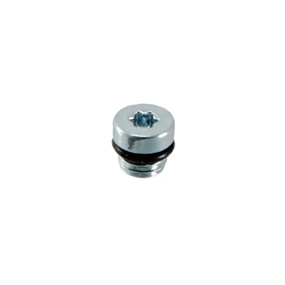 Formula Italy Bleed Port Screw/O-Ring C1/CR1 (2014+)  | Bikeparts.Com Worldwide Shipping