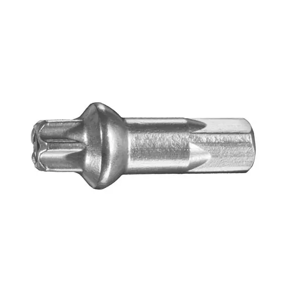 Flash Sale DT Swiss ProLock Squorx Pro Brass 14g/15mm Silver Box/100  | Bikeparts.Com