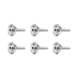 Windshield Bolts for Harley® Low Rider ST '22-'25 | Silver Buy Direct