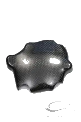 Carbonin Carbon Fiber Pick Up 2005-2006 Kawasaki ZX-6R/636 Best Seller