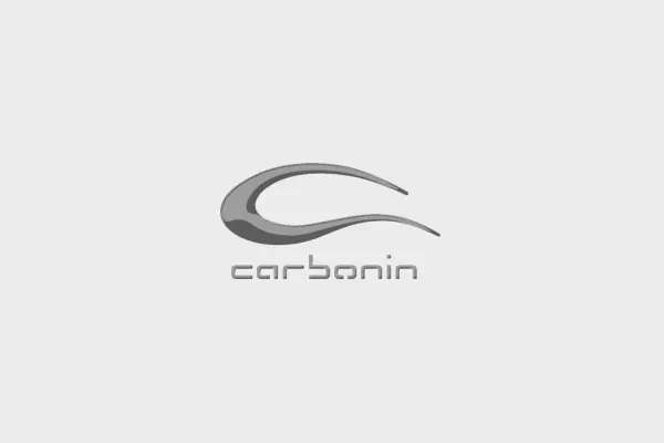 Grab Now Carbonin Carbon Fiber Pick Up 2006-2011 Triumph Daytona 675