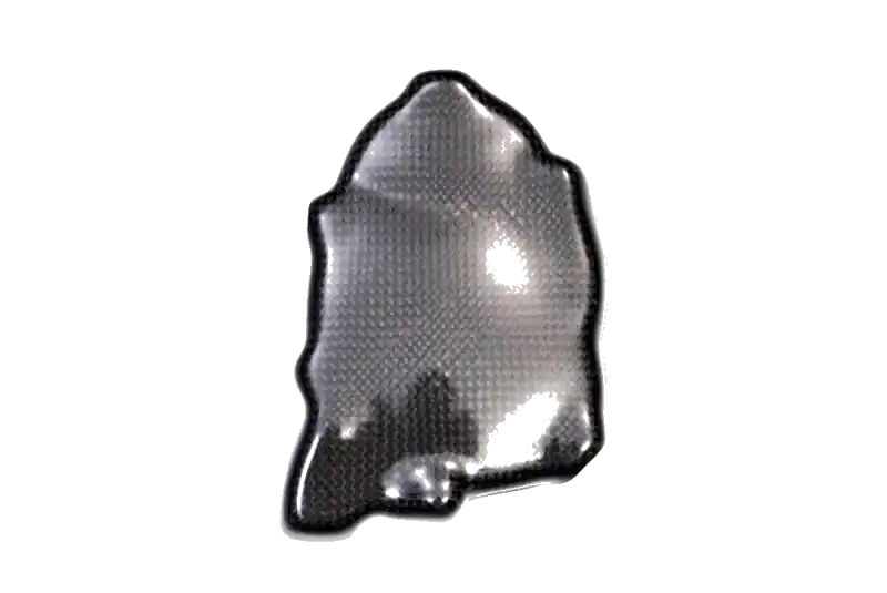 Carbonin Carbon Fiber Pick Up 2006-2016 Yamaha YZF-R6 Top Rated