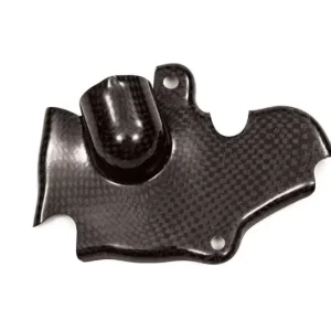 Time-Limited Carbonin Carbon Fiber Water Pump Protector 14-20 Yamaha FZ-09 /MT-09