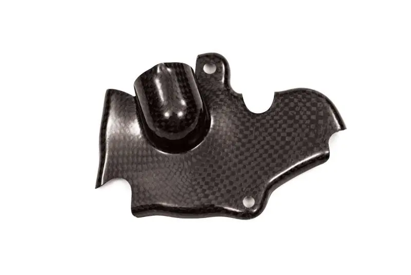 Time-Limited Carbonin Carbon Fiber Water Pump Protector 14-20 Yamaha FZ-09 /MT-09