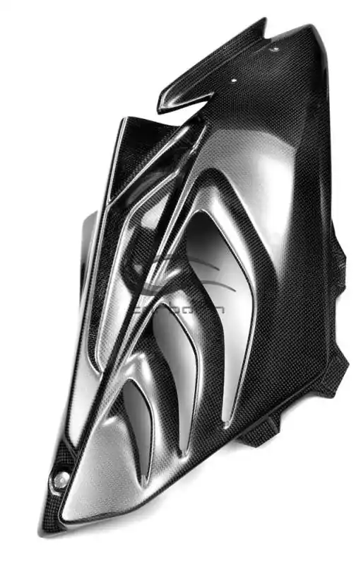 Carbonin Carbon Fiber Right Side Panel 2009-2014 BMW S1000RR Today Only