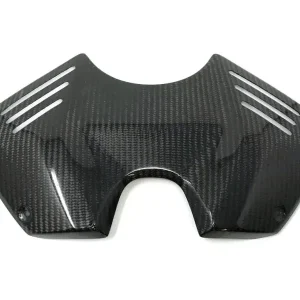 Save Now Extreme Components Carbon Airbox cover Streefighter Panigale V4