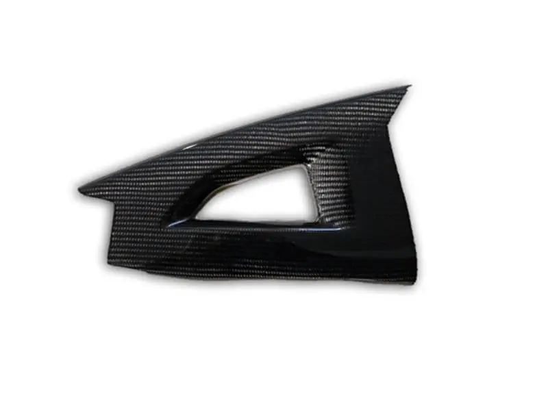 Extreme Components Carbon Swingarm protection Kawasaki ZX-10R 11-15 Affordable