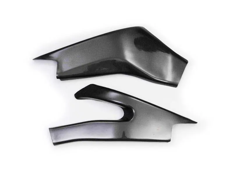 Buy Online Extreme Components Carbon Swingarm protection Yamaha YZF R6 2008-20
