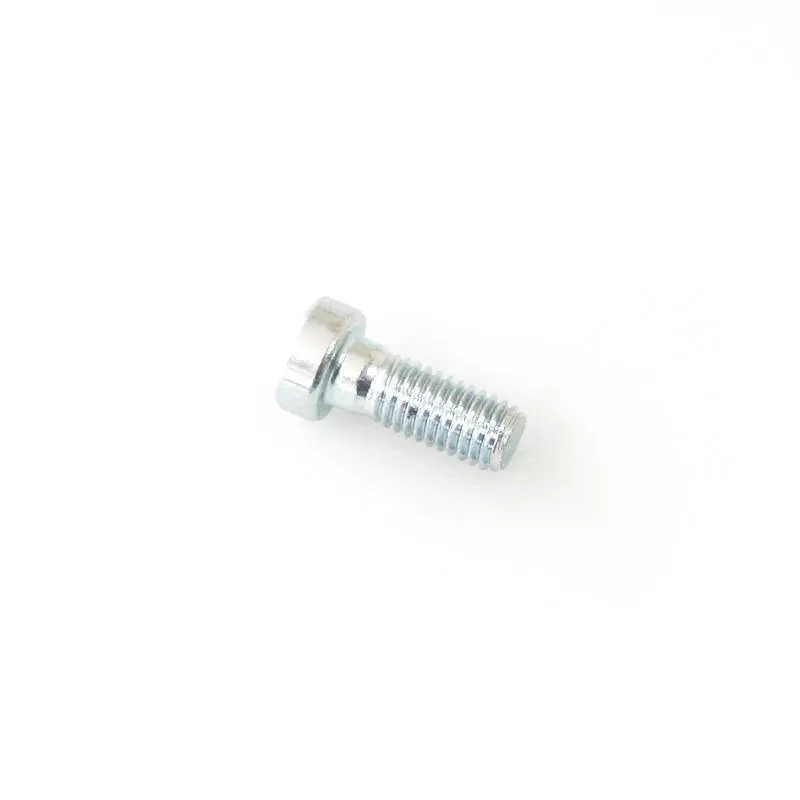 Get Yours Alpha Racing Allen Head Bolt M8x20 Brake Disc Front BMW S1000RR 2009-2011,S1000RR 2015-2016,S1000RR 2019-2021,S1000R 2014-2016,HP4 2012-2014,M1000RR 2021