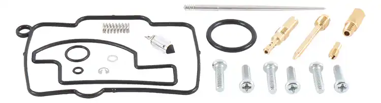 ALL BALLS Carburetor Rebuild Kit for Kawasaki KX250 2002 * Complete Replacement Components Place Order