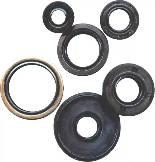 Vertex Oil Seal Set for Yamaha YFM700R Raptor (2006-2015) Brand New