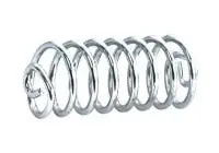 Zodiac Z098003 Barrel Style 5" Seat Springs (Pair) Buy Online