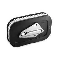 Zodiac Z120067 Air Filter Element for XL 04-13 One Day Deal