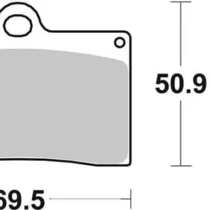 SBS Dual Carbon Racing Front Brake Pads Wholesale