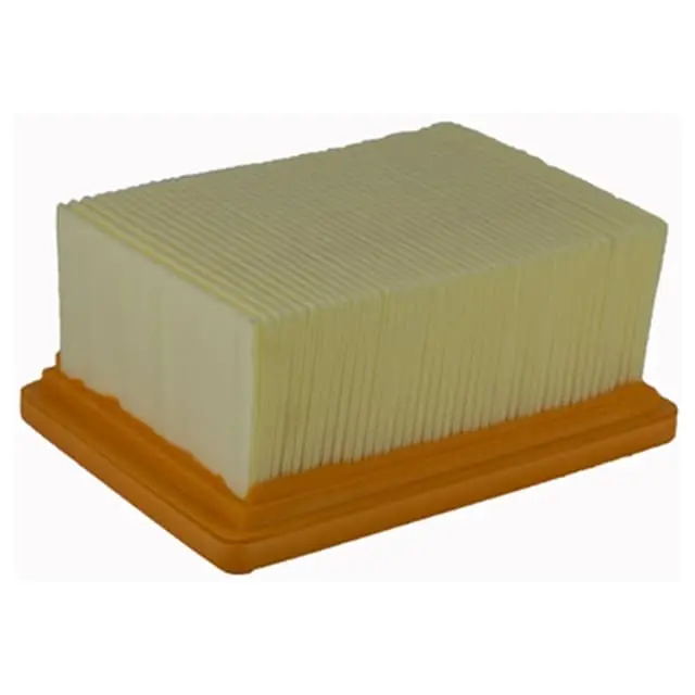 Champion BMW CAF6604 Air Filter Original