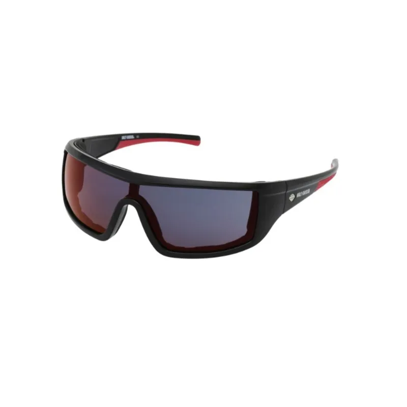 Price Cut Harley-Davidson Glasses "Celebration Color Enchanced" Shiny