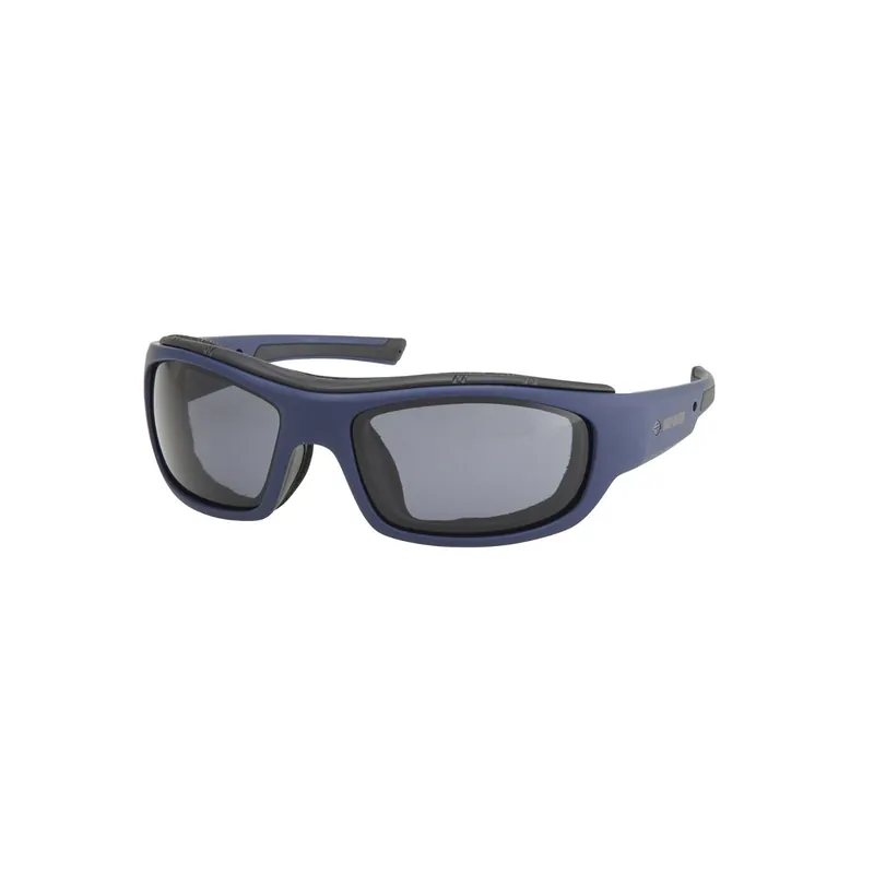 Harley-Davidson Glasses "Soldier Smoke Color Enhanced" Matt Grab Now