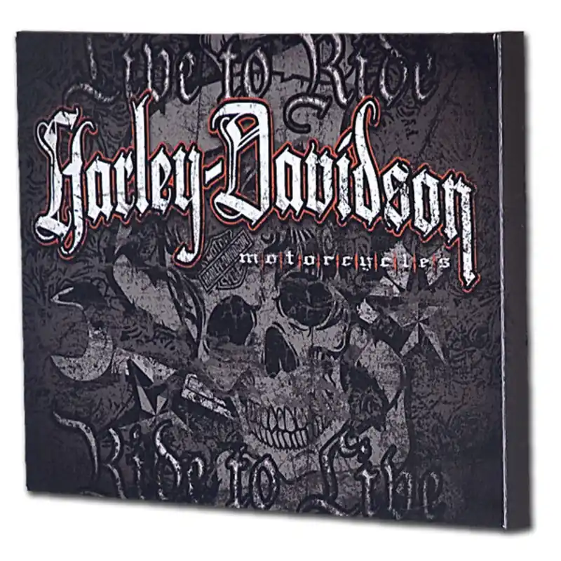 Harley-Davidson Picture "Canvasprint auf Rahmen "SKULL" HDL- Limited Offer