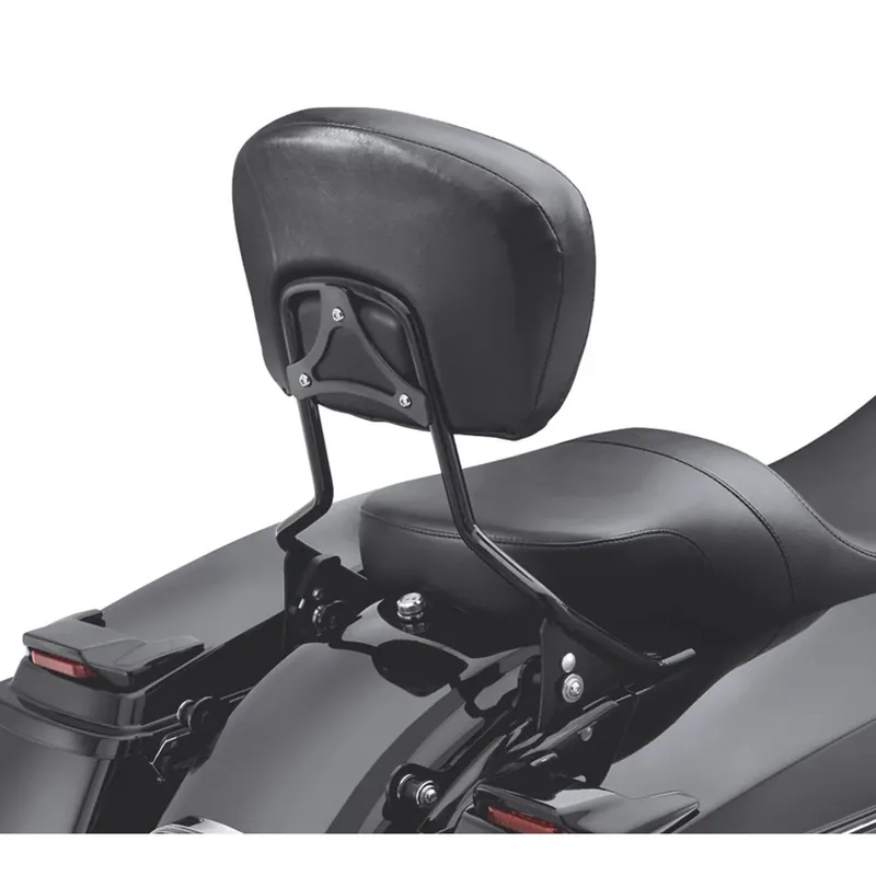 Time-Limited H-D Detachables Sissy Bar Upright 54247-09A