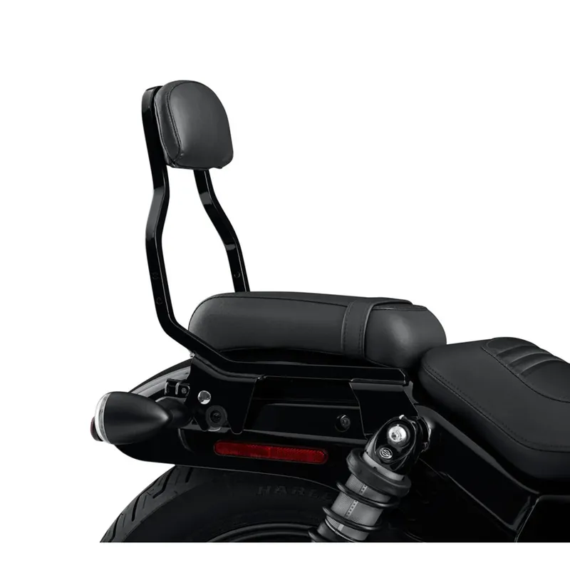 HoldFast Sissy Bar Low Height 52300702 One Day Deal