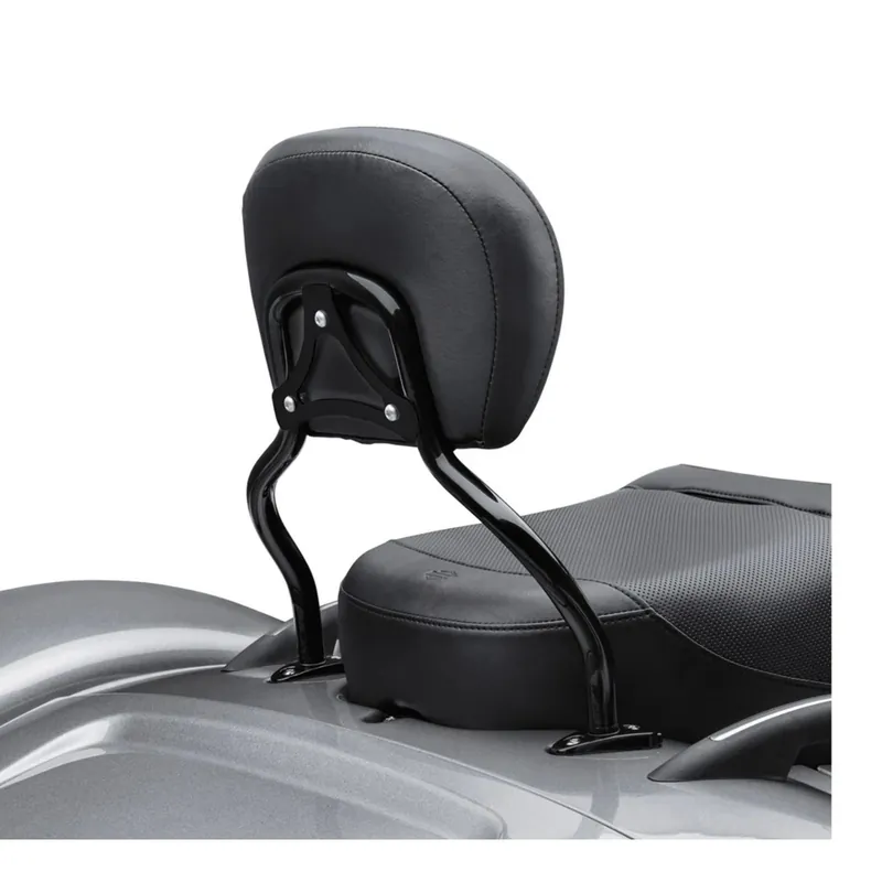 Quick-Release Sissy Bar Upright 52300415 Crafted