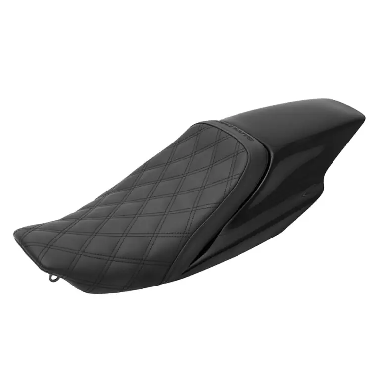 Exclusive ELIMINATOR SPECIFIC FIT COMBO - Sportster